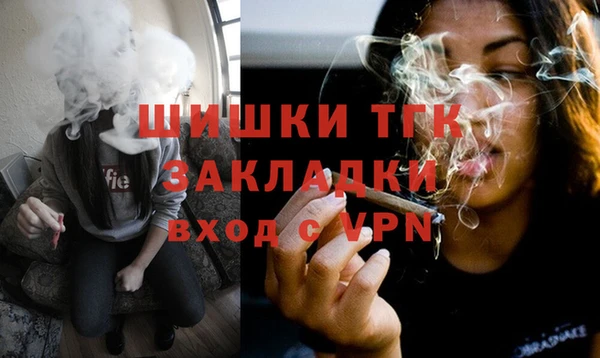 индика Белокуриха