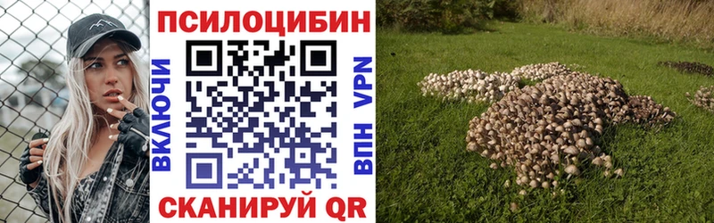 Псилоцибиновые грибы Cubensis  Давлеканово 